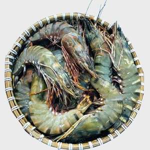 Camarón tigre negro de origen vietnamita-Mejor precio, suministro a granel, exportación global - Product Image 5