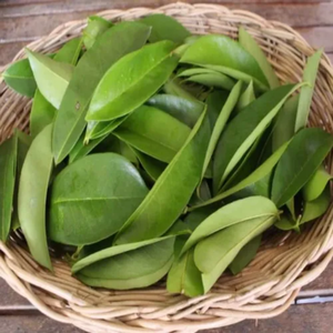 POUDRE DE FEUILLE DE GRAVIOLA NATURELLE | INGRÉDIENT DE THÉ PURE AU VIETNAM - Product Image 2