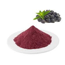 Suministro a granel al por mayor de polvo de mora deshidratado para aplicaciones cosméticas y nutracéuticas alimentarias a bajo precio - Product Image 2