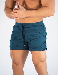 Vente en gros de shorts courts pour hommes Shorts d'entraînement sportif Musculation Running Gym Workout Fitness Shorts Pantalons 2024 - Product Image 1