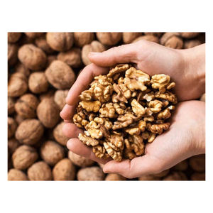 Noix de Grenoble biologiques naturelles pour la vente en gros de noyaux de noix en vrac - Product Image 6