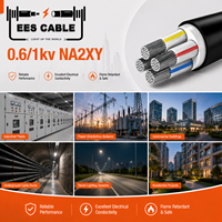 Câble d'alimentation blindé NA2XY AL/XLPE/SWA/PVC, conducteur en aluminium, isolation XLPE, blindage en fil d'acier, gaine en PVC