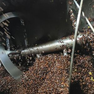 Polvo de café sin químicos y conservantes Precio razonable Ingredientes alimentarios sabor distintivo saludable - Product Image 5