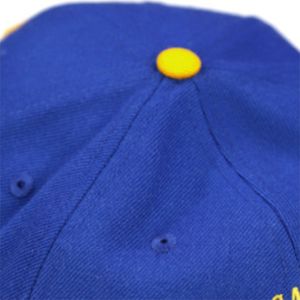 Cappellino SGR-blu reale | Cappello Sorority Sigma Gamma Rho | 80% in lana 20% acrilico | Logo ricamato su fronte e retro | Misura regolabile