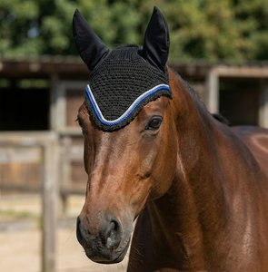 Velo antimoscas para caballo de ganchillo negro de alta calidad y cómodo, con cubre orejas suaves y ribete azul y blanco, para entrenamiento y exhibiciones. - Product Image 2