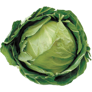 Chou frais de haute qualité en stock, prêt pour l'expédition en gros et l'approvisionnement à l'exportation - Product Image 6