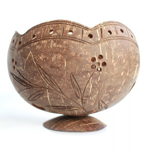 Meilleure vente d'orchidées en pot, fleurs d'orchidées, bonsaï, nouveau style, coquilles de noix de coco, pots en bois naturel, jardinière de cactus - Product Image 1