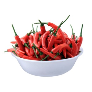 พริกแดงสดขนาดใหญ่เกรดพรีเมียม แนะนำเป็นสินค้าขายดี ผู้ผลิตผักสด - Product Image 3