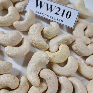 Premium Processing W210 Cashew <b>Nuts</b> Raw Cashew <b>Nuts</b> WW210 ISO, HACCP SANTIGO <b>Nuts</b> & <b>Kernels</b> - Product Image 1