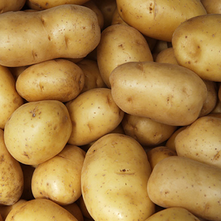 Pomme de terre fraîche best-seller à prix abordable et de haute qualité pomme de terre fraîche à prix chaud