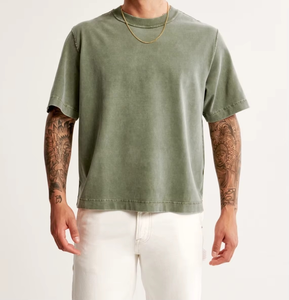 T-shirt en coton uni de haute qualité pour homme, basique, coupe confortable, vêtement décontracté, fournisseur OEM - Product Image 1