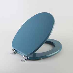 Sedile WC Universale Colorato con Cerniere in Metallo - Product Image 2