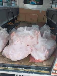 Muslo y Pierna de Pollo Entera Congelada IQF Halal con Piel, Envasada al Vacío, Baja en Grasa, Nutritiva, 1kg-2kg, 12 Meses de Duración - Product Image 3