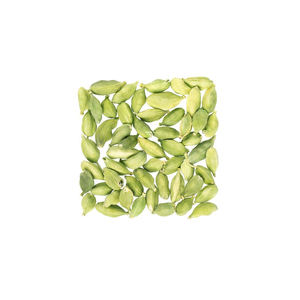 Cardamomo Verde Fresco 100% Natural de Alemania de la Mejor Calidad con 2 Años de Vida Útil - Product Image 2