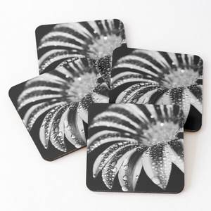 Precios razonables Posavasos de piedra Esmalte Impreso Madera Forma redonda para Decoración de mesa Usos por fabricante indio y - Product Image 2