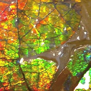 Ammolite Naturelle Brute Non Taillée Formes Mixtes Multicolore Vente en Gros Prix Usine Personnalisé Coszcalt Exports - Product Image 3