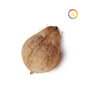 Carne de coco seleccionada de coco semi descascarillado para uso en cocina y confitería de Vietnam - Product Image 6