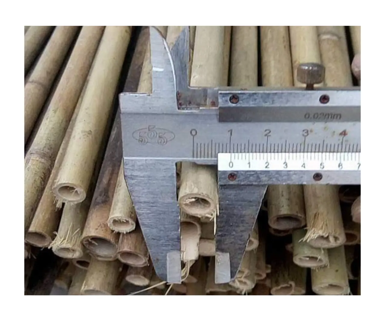 Bamboe Leverancier Groothandel Outdoor Gele Natuur Ruwe En Droge Bamboe Paal 2M 3M 4M 5M 6M 7M 8M