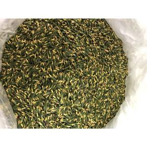 Thé d'embryon de lotus séché, thé coeur de lotus, vous apportant une série de délicieux thés frais - Product Image 3