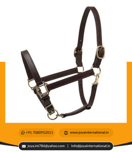 Holesale: se puede ajustar a la estabilidad, se puede cambiar entre 2022 y - Product Image 2