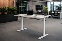 Bureau assis-debout électrique robuste à double moteur dissimulé et 3 niveaux de hauteur, ergonomique, pour le bureau (vente en gros)