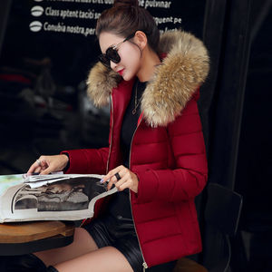 2025 nouveau Design moderne mode grande taille moelleux automne chaud à la mode Faux hiver dames noir bleu femmes manteau fourrure veste pour les femmes - Product Image 4