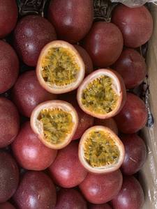 Fruta de la Pasión congelada, el mejor vendedor del mes, comida de estilo fresco para uso hecho en Vietnam estándar de exportación a la venta. - Product Image 5