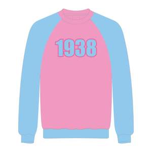 1938 Jack and Jill of America <b>Pink</b> Raglan Sleeves Sweatshirt Blue Chenille Embroidery Black Civic Professional Organizations - Product Image 2