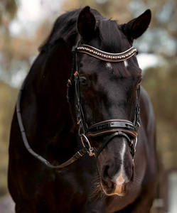 Bride d'essorage en or rose bon matériel de fantaisie couleur café ensemble complet confort extérieur fantaisie décoratif rembourré - Product Image 4
