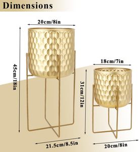 Macetas y jardineras de hierro con acabado dorado moderno, soporte para sala de estar, cocina, oficina, jardín, balcón, decoración de Patio - Product Image 2