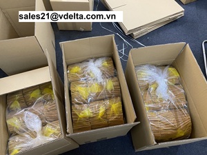 Canela orgánica de canela de alta calidad, buen precio de Vietnam, Cassia cinnamomum seca, precio bajo/Sra. Lima - Product Image 5