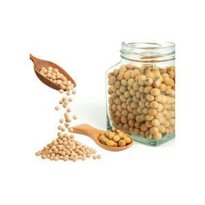 Semilla de soja amarilla sin OGM orgánica certificada, semilla de soja de estilo seco en embalaje a granel - Product Image 4