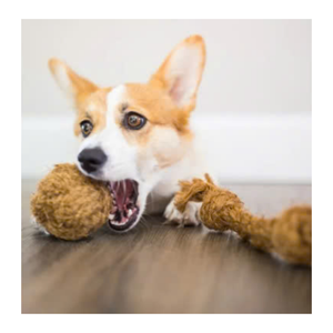 Custom Dog Chew <b>Toy</b> Natural Dog Chew Sticks Coffee Wood - 100% Natural Coffee Best Dog <b>Toys</b> Manufacturer From 99 Gold Data - Product Image 2