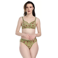 Bikini Sexy de Dos Piezas para Mujer de Talla Grande a Precio Barato de Mayoreo con Estampado Animal y Logo de Color Personalizado Ecológico