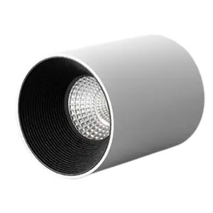 ไฟดาวน์ไลท์ MiravaDisk 12W โครเมียมอะลูมิเนียม LED แบบติดตั้งบนพื้นผิว สำหรับบ้าน โรงแรม 220V IP44 แสงวอร์มไวท์ 3000K 7W 18W ตัวเลือกกำลังไฟ - Product Image 4