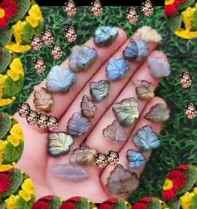 Pierre de Quartz Hydro Multi Couleur 15-20mm Environ Patte de Chat Sculpture Cabochon Pierre Précieuse Sculpture à la Main pour Cadeau de Noël - Product Image 2