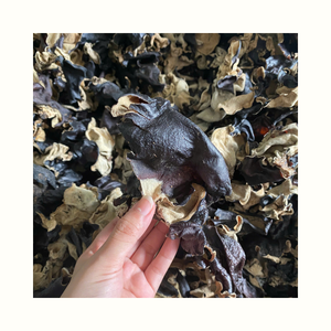 Cloud Ear Fungus Dried Mushroom Suitable for Food Processing Cooking and Ingredient Application - Product Image 3