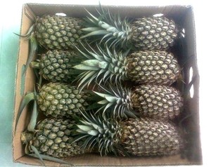 Precio al por mayor piña dulce congelada piña Vietnam exportación piña - Product Image 5