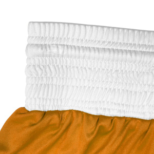 Vente en gros Shorts de MMA personnalisables Shorts de combat respirants pour hommes Muay Thai Boxe Kickboxing Shorts personnalisables pour hommes - Product Image 6