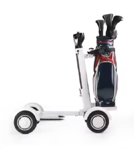 รถกอล์ฟไฟฟ้าใหม่เอี่ยมพร้อมส่ง 2000W 48V 20กม./ชม. ยาง 10 นิ้ว รถสเก็ตบอร์ดกอล์ฟสี่ล้อ - Product Image 1
