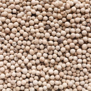 FitTree International Poivre Blanc Indien en Poudre Stérilisé à la Vapeur Granulé Qualité Alimentaire Orienté Export pour la Fabrication Alimentaire - Product Image 4