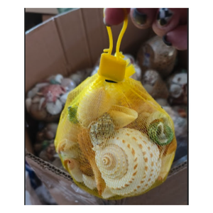 Wholesale Natural Sea Shell Mix <b>Bag</b> Decorative Crafts & DIY Supplies - Product Image 3