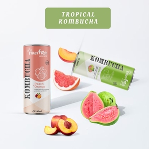 INTERFRESH 250ml KOMBUCHA Jus d'arôme d'abricot Thé mince 250ml Boîte de thé de haute qualité Boisson Kombucha sans sucre Marque privée - Product Image 5