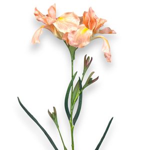 Iris 70cm Fleur de Saumon Artificielle - Product Image 2
