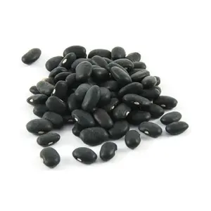 Vietnam Export black kidney beans factory price mini agriculture product with sweet flavor Dried Dark Red Kidney Bean