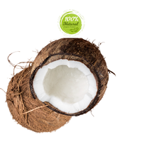 Meilleure noix de coco séchée du Vietnam à chair épaisse, 100% naturelle, complément parfait pour les compotes de fruits tropicaux