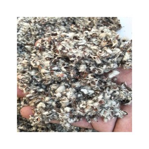 Casco de semilla de algodón natural 100% para alimentación animal Casco de semilla de algodón para ganado disponible en venta al por mayor a granel - Product Image 3