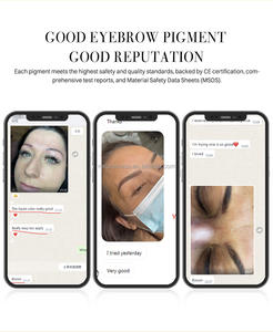 REACH Organic Microblading PMU Pigment Ink <span class=keywords><strong>pour</strong></span> <span class=keywords><strong>fard</strong></span> à paupières <span class=keywords><strong>pour</strong></span> sourcils à lèvres <span class=keywords><strong>pour</strong></span> outil de formation au maquillage permanent - Product Image 4