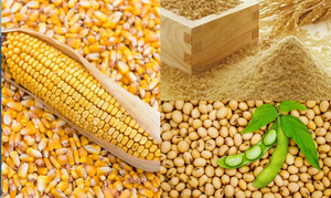 Harina de soja fermentada de grado alimenticio de alta proteína 60% para cerdos, ganado, caballos, aves de corral, perros, comida en polvo, bolsa de alimentación para animales de alta calidad - Product Image 5