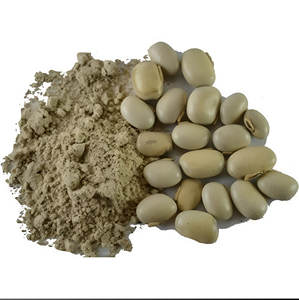 Polvo de semilla de Kharbuja de melón orgánico de alta calidad, extracto de hierbas naturales en cultivo salvaje de grado alimenticio, tambor empaquetado a buen precio - Product Image 4